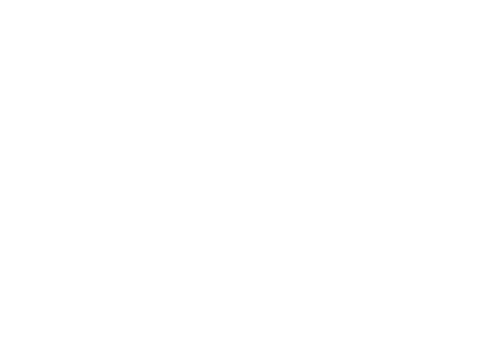 DIV GRUPA