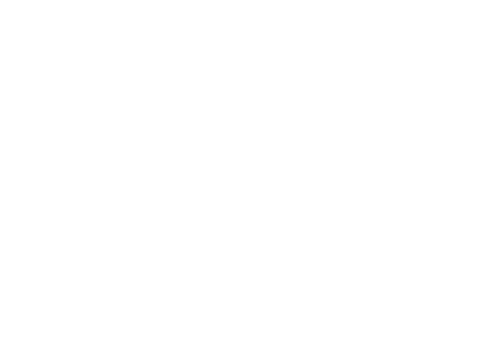 DURO DAKOVIC